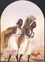 Somálské ženy v Adenu, 1858 (čb na papíře)